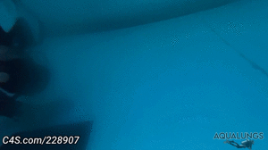 aqualungs50.com - Redundancy Failure thumbnail